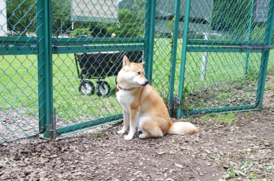 IMGP4749.JPG