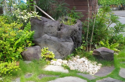 IMGP5369.JPG