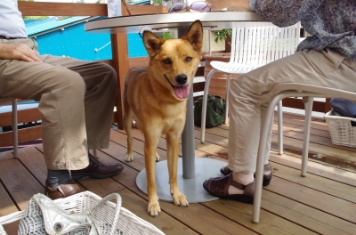 IMGP5381.JPG