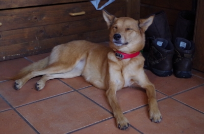IMGP7918.JPG