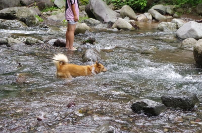 IMGP9375.JPG