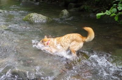 IMGP9402.JPG