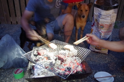 IMGP9482.JPG