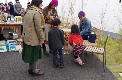IMGP1245.JPG