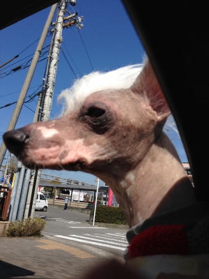 2015-03-27 14.12.32.jpg