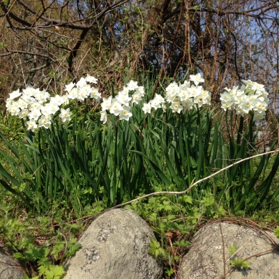2015-03-29 15.05.21.jpg