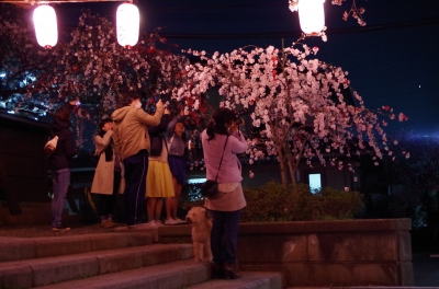 IMGP2868.JPG