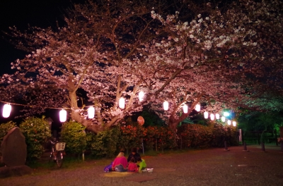 IMGP2915.JPG