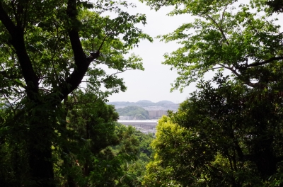 IMGP3408.JPG