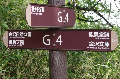 IMGP3430.JPG