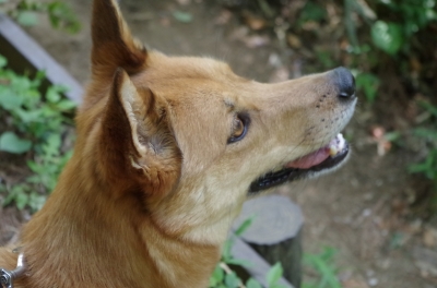 IMGP3502.JPG