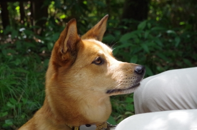 IMGP3568.JPG