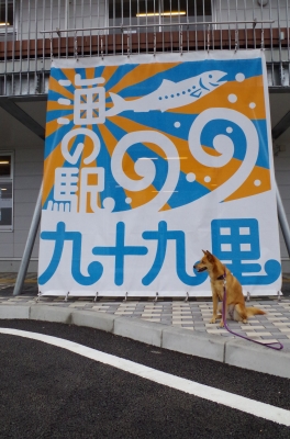 IMGP3657.JPG