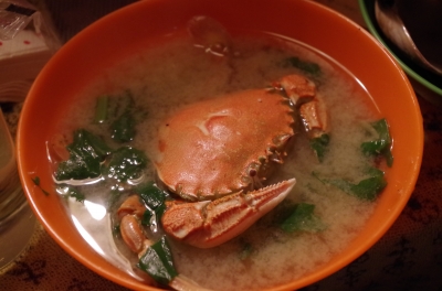 IMGP3744.JPG