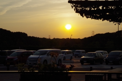 IMGP4120.JPG