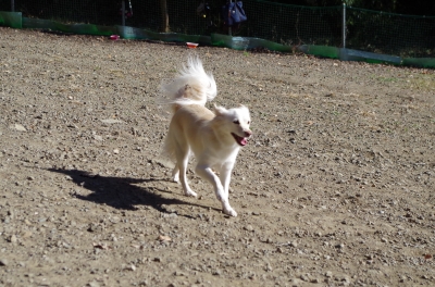 IMGP6037.JPG
