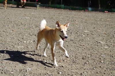 IMGP6040.JPG