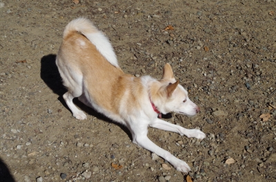 IMGP6138.JPG