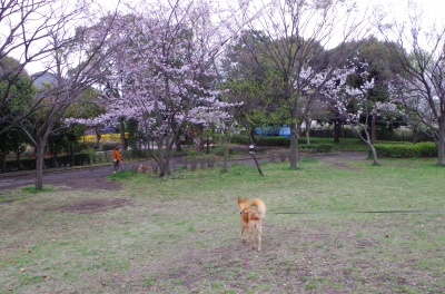IMGP6977.JPG