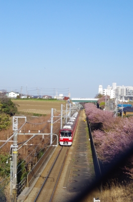 IMGP6730.JPG