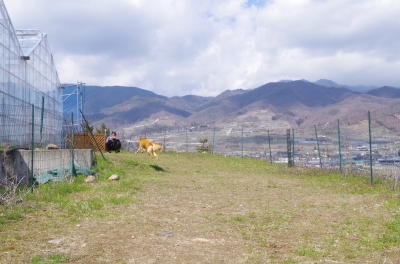 IMGP6834.JPG