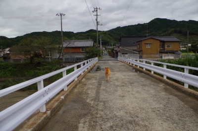 IMGP7808.JPG