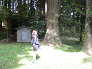 SN3D0012~001.jpg