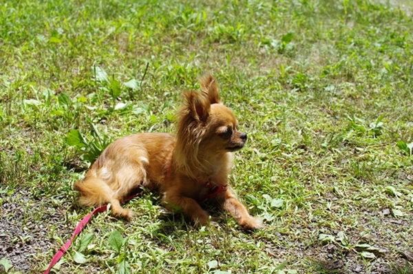 IMGP3190.jpg