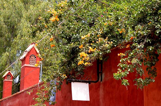 メキシコ 買い付け サンミゲル グアナファト 旅行 観光