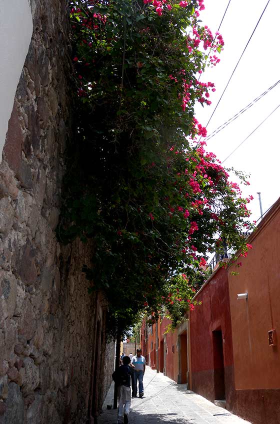 メキシコ 買い付け サンミゲル グアナファト 旅行 観光
