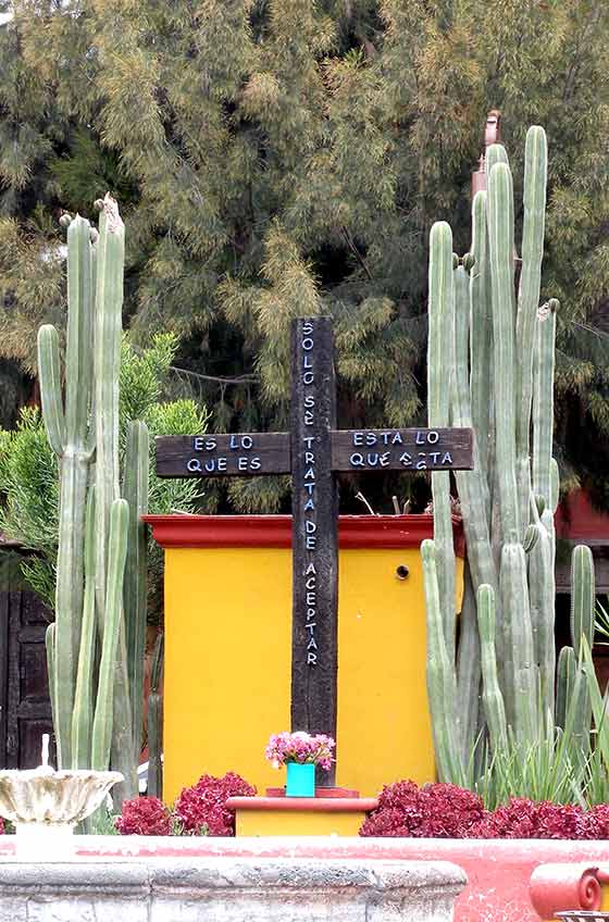 メキシコ 買い付け サンミゲル グアナファト 旅行 観光