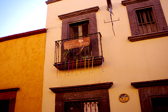 メキシコ 買い付け サンミゲル グアナファト 旅行 観光