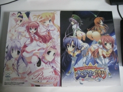 2009年6月末00