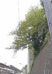 1522912923518.jpg
