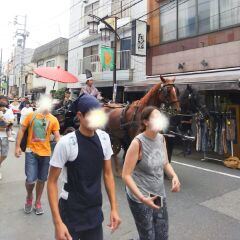 20180917_1737717.jpg