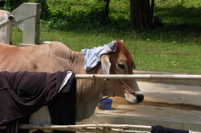 温泉にでも行くの?