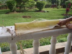 banana fiber extraction