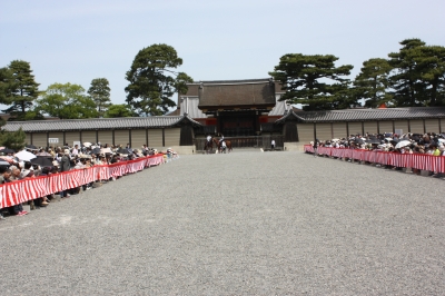 あおい5