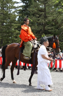 あおい9
