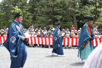 あおい12