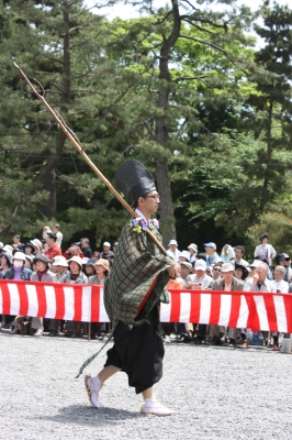 あおい14