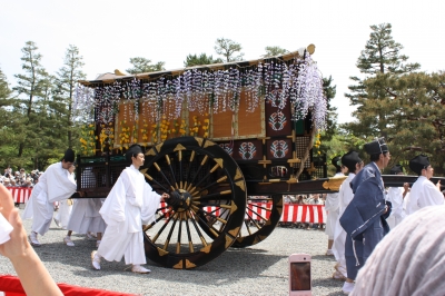 あおい24