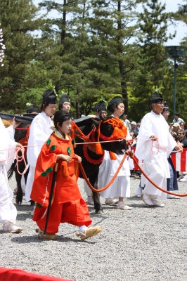 あおい33
