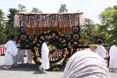 あおい35
