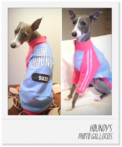 トラックスーツ 犬服
