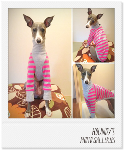 名入れ 犬服