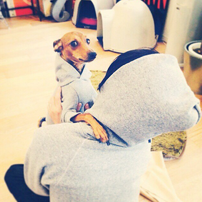 パーカー 犬服
