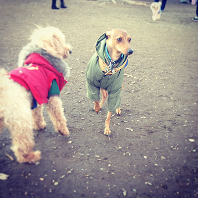 131224_03.JPG