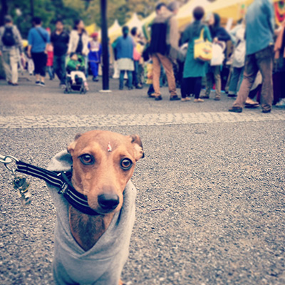 140922_1.JPG