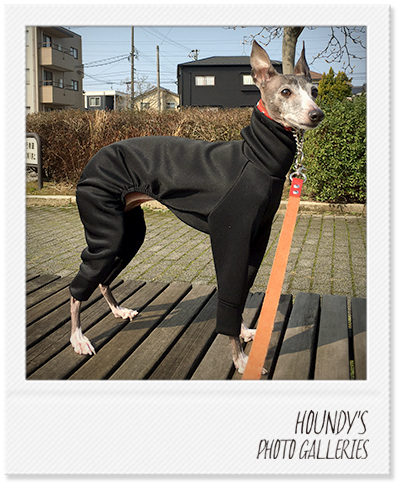 イタグレ ロンパース